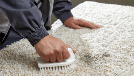 Professional Rug Cleaning Oaklands Junction